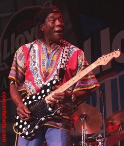 Buddy Guy, Polka Dot Guitar