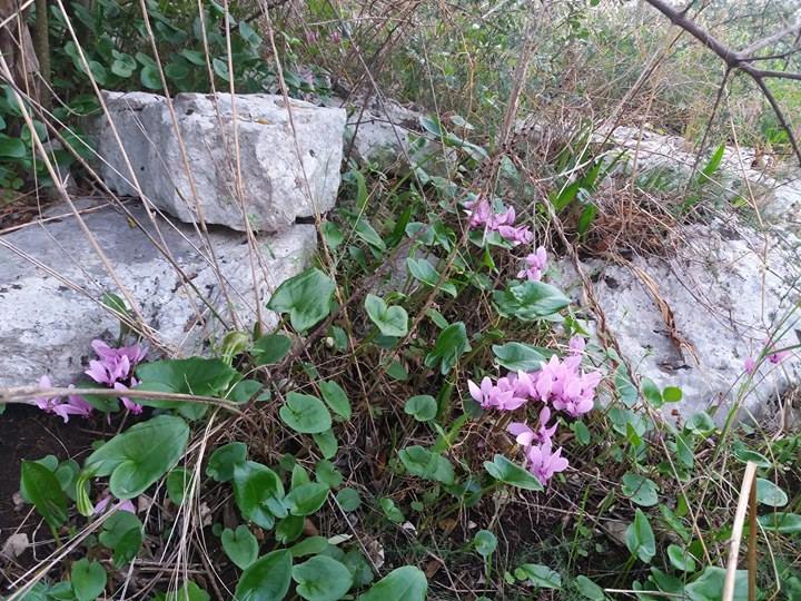 22782044_10207850847427765_931151550_n